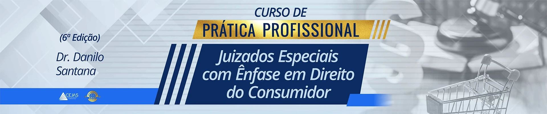 Prática Profissional - Juizados Especiais com Ênfase em Direito do Consumidor